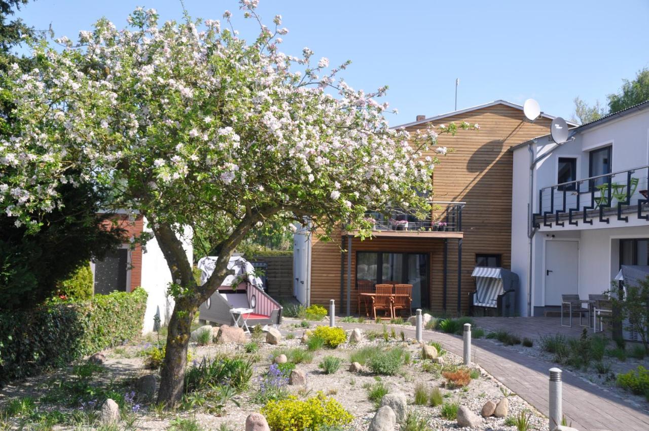 Hotel & Ferienunterkuenfte Hus Seeblick فيهمارن المظهر الخارجي الصورة